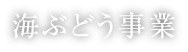 海ぶどう事業